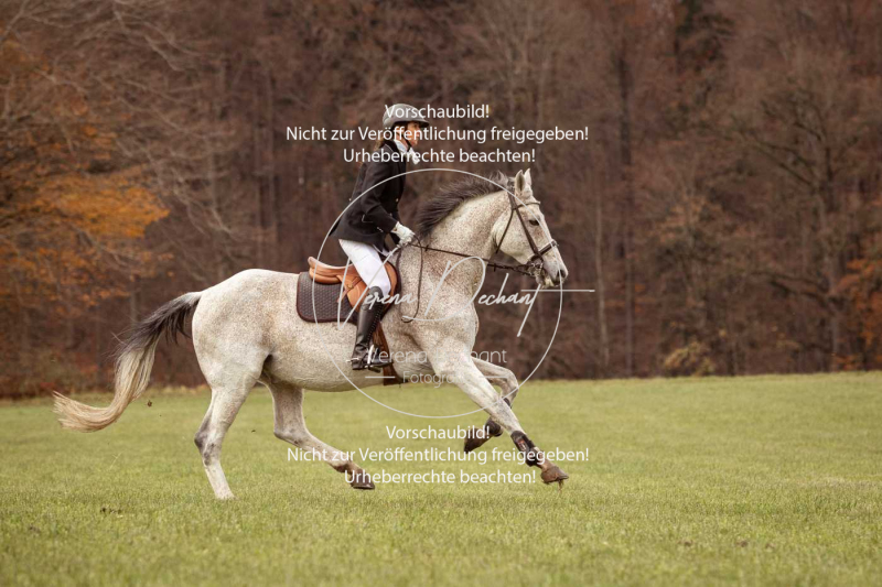 Schleppjagd_Diessen-222