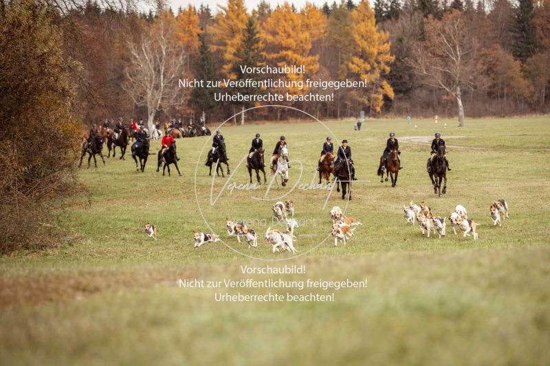 Schleppjagd_Diessen-233