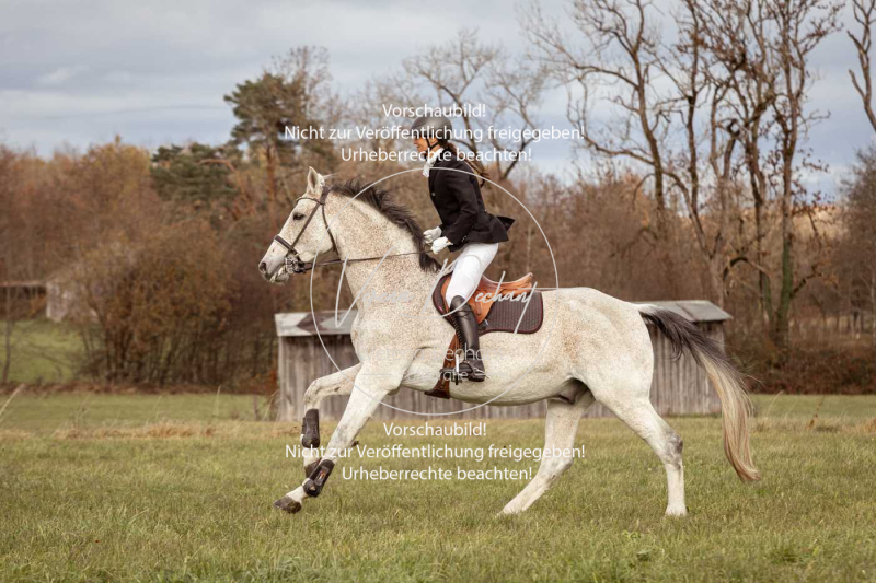 Schleppjagd_Diessen-273