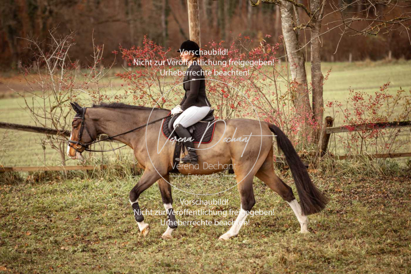 Schleppjagd_Diessen-307