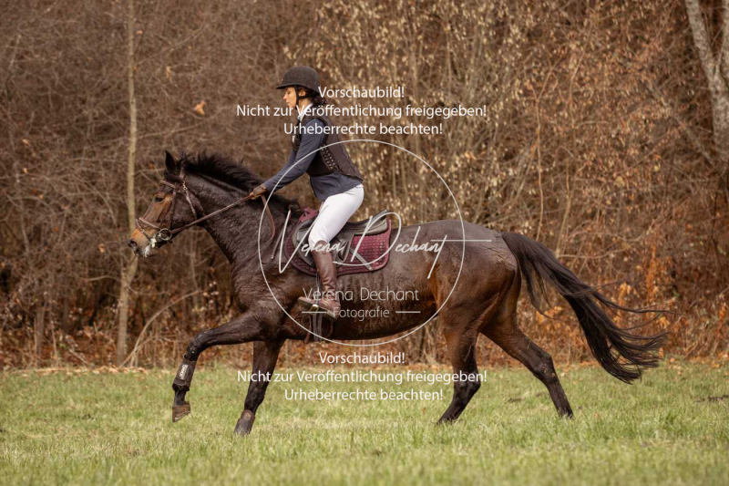 Schleppjagd_Diessen-319