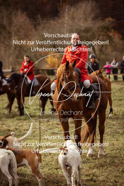 Schleppjagd_Diessen-335