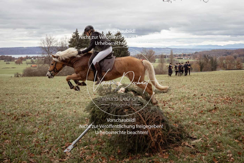 Schleppjagd_Diessen-340