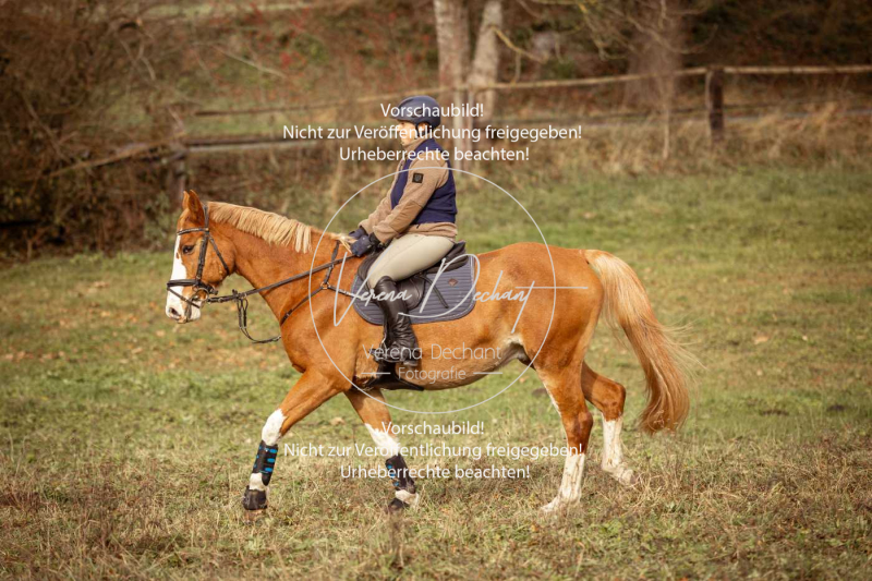 Schleppjagd_Diessen-347