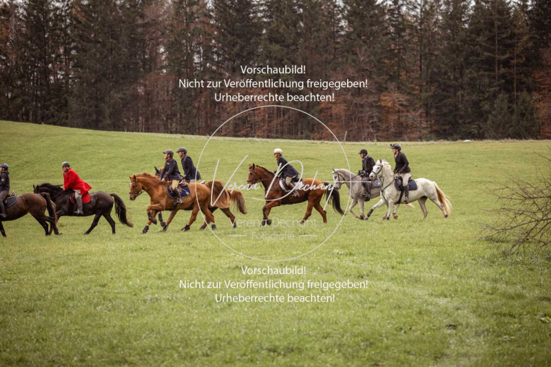 Schleppjagd_Diessen-355