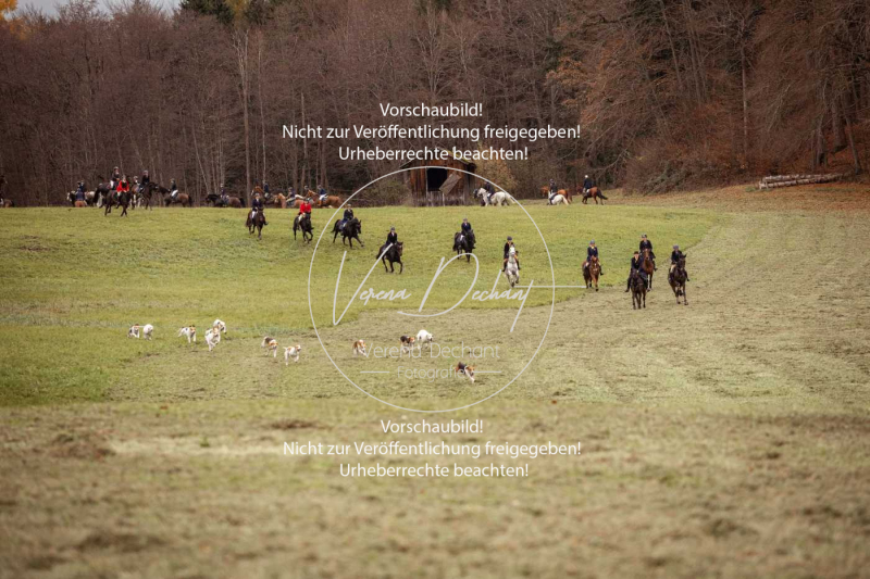 Schleppjagd_Diessen-364