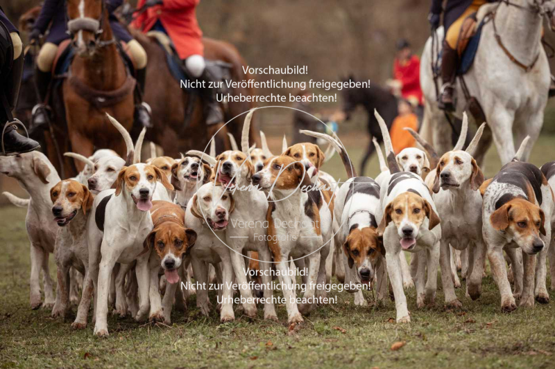 Schleppjagd_Diessen-365