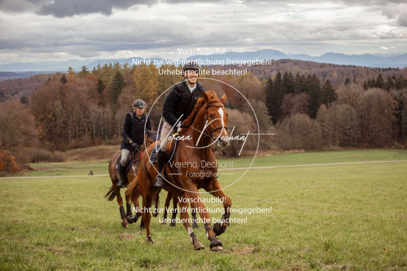 Schleppjagd_Diessen-390