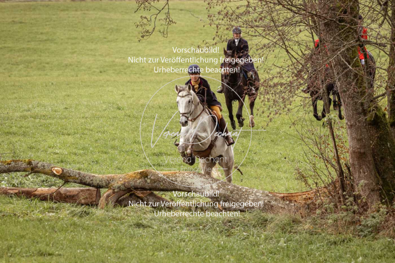 Schleppjagd_Diessen-473