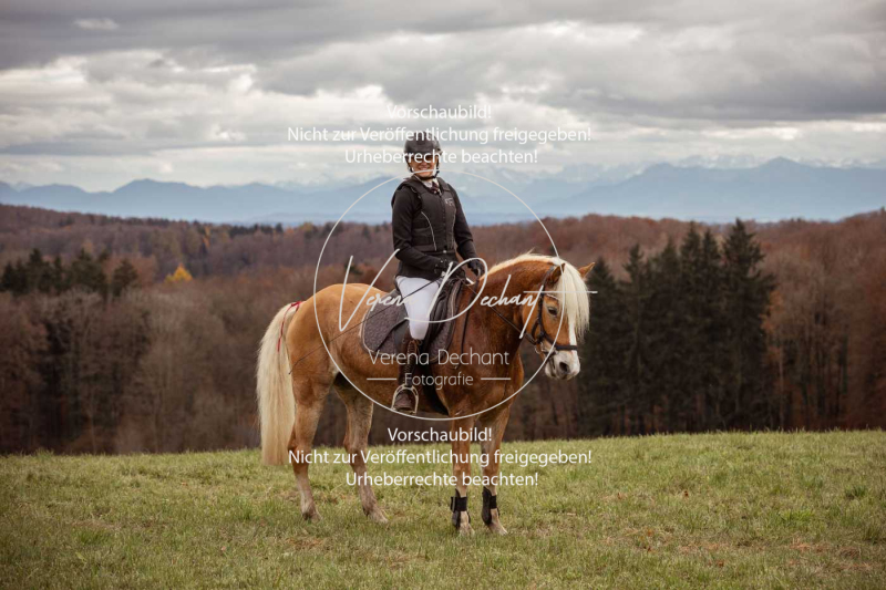 Schleppjagd_Diessen-500