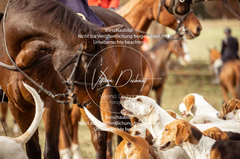 Schleppjagd_Diessen-516