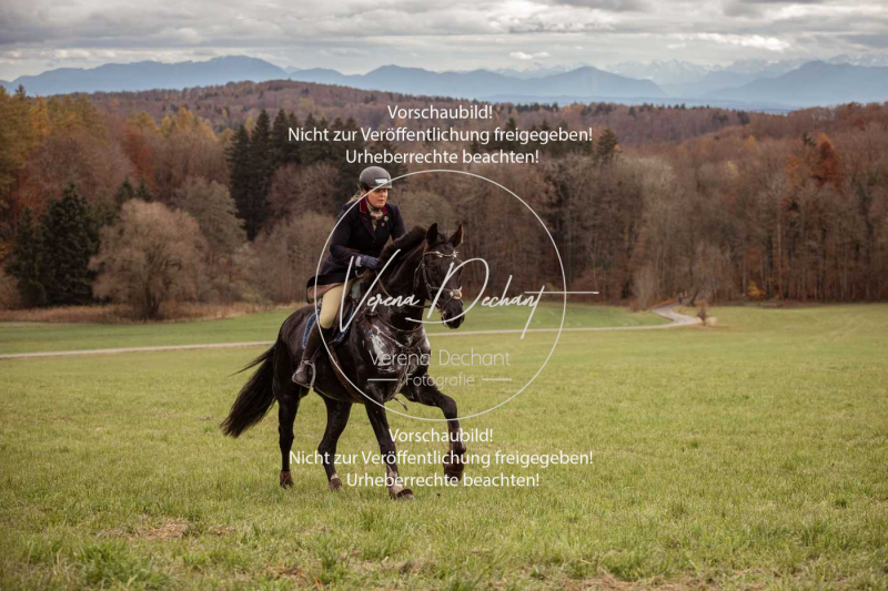 Schleppjagd_Diessen-537