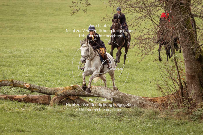 Schleppjagd_Diessen-542