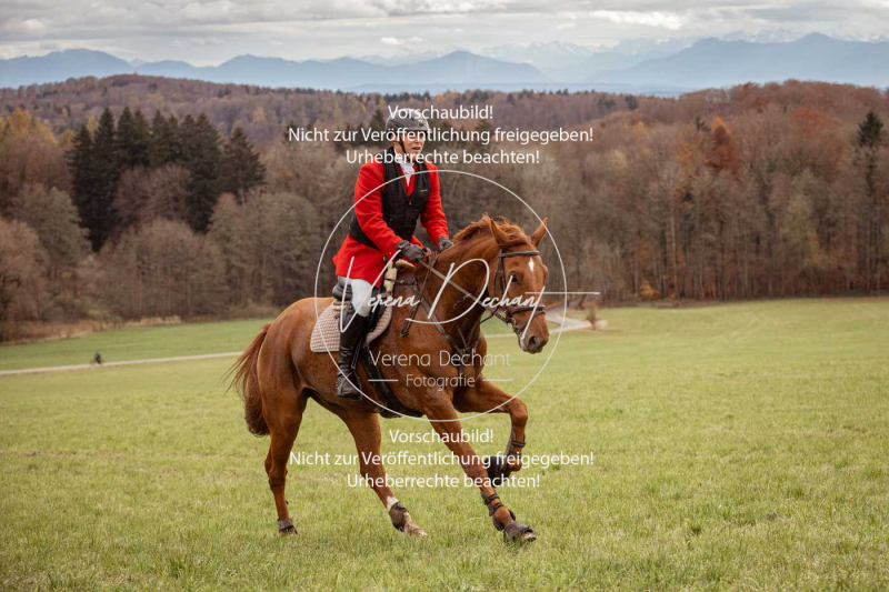 Schleppjagd_Diessen-553