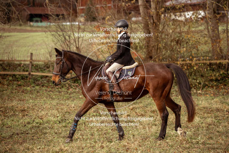 Schleppjagd_Diessen-570