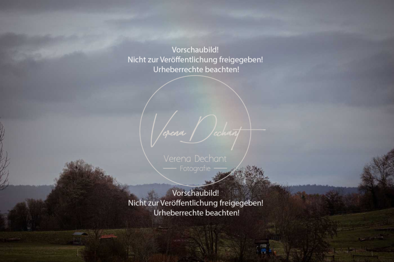 Schleppjagd_Diessen-581