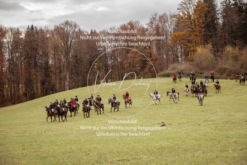 Schleppjagd_Diessen-614