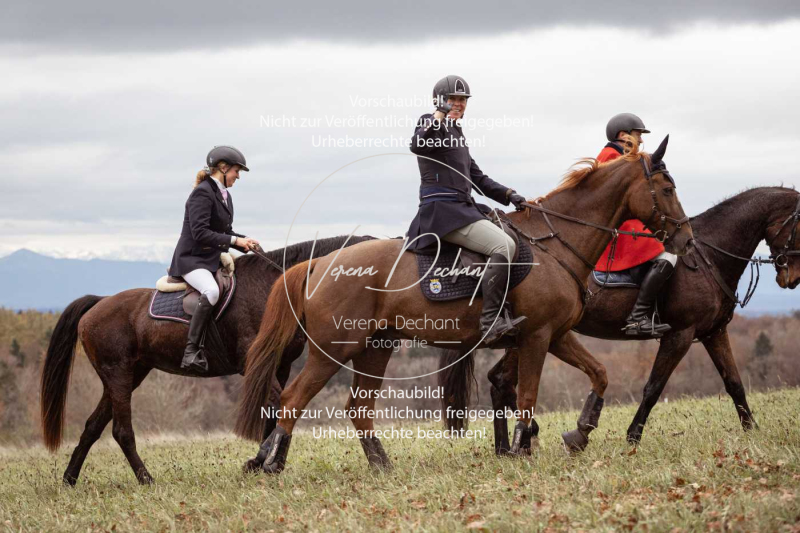 Schleppjagd_Diessen-641