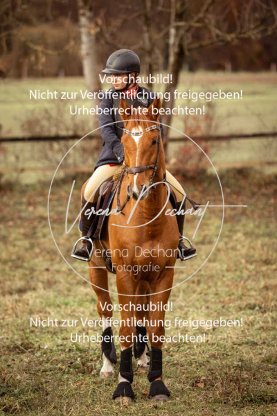 Schleppjagd_Diessen-654