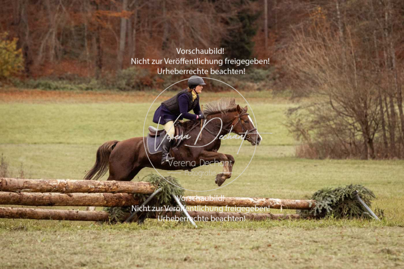 Schleppjagd_Diessen-664