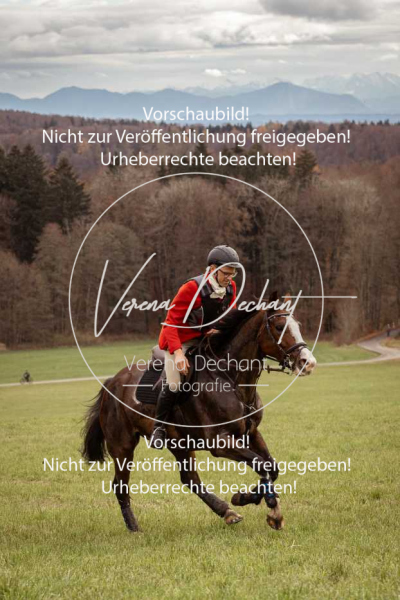 Schleppjagd_Diessen-704