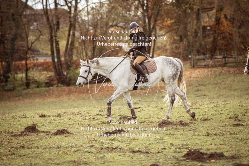 Schleppjagd_Diessen-723