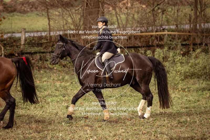 Schleppjagd_Diessen-724