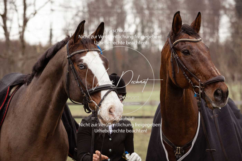 Schleppjagd_Diessen-733