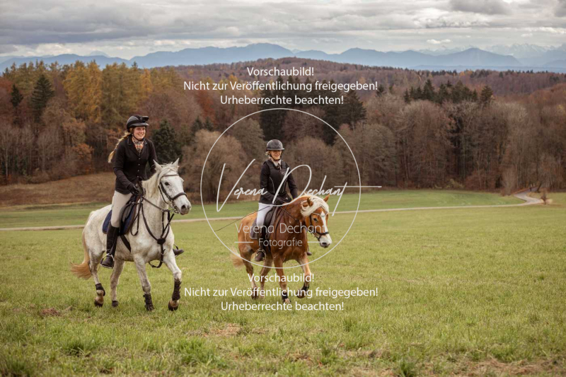 Schleppjagd_Diessen-771