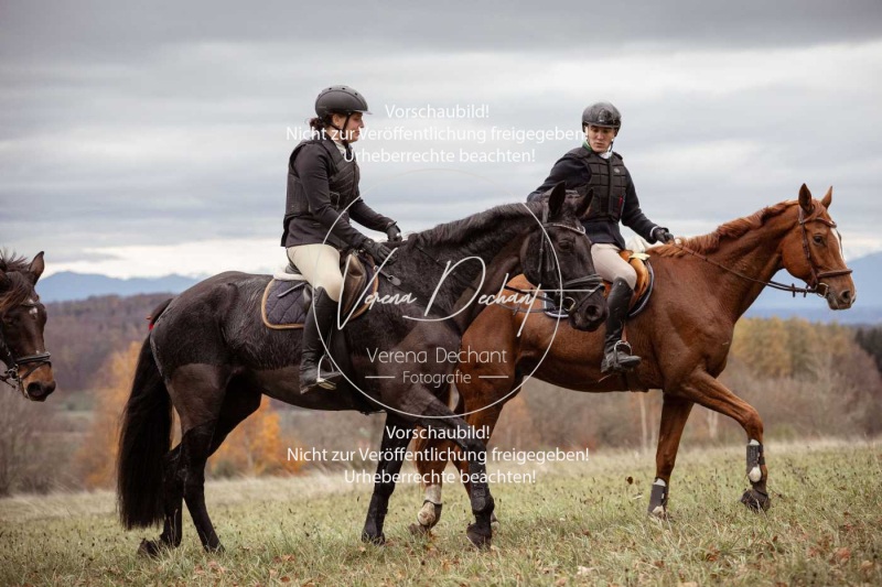 Schleppjagd_Diessen-788