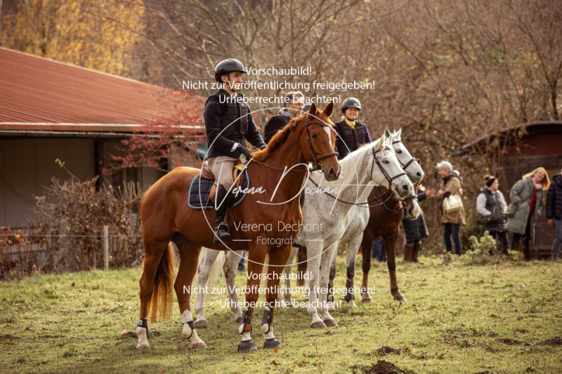 Schleppjagd_Diessen-790