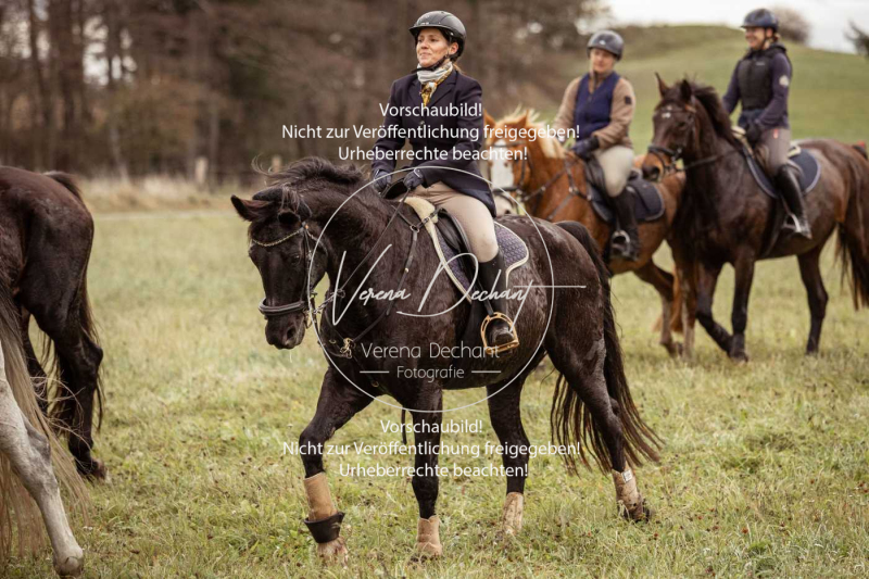 Schleppjagd_Diessen-806