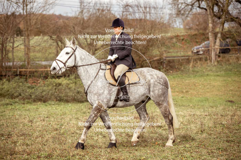 Schleppjagd_Diessen-847