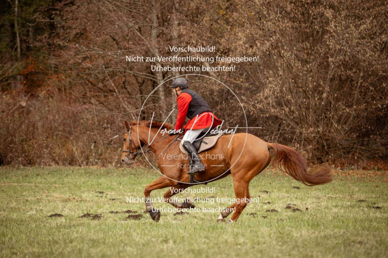 Schleppjagd_Diessen-857