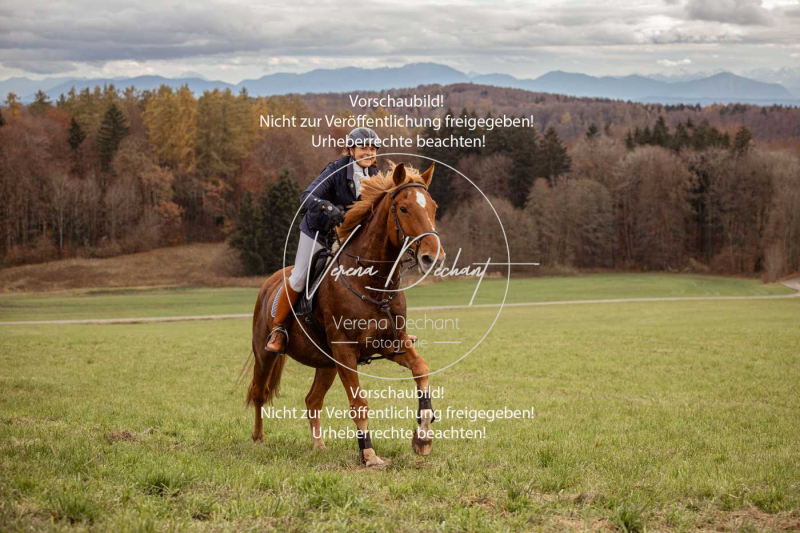 Schleppjagd_Diessen-865