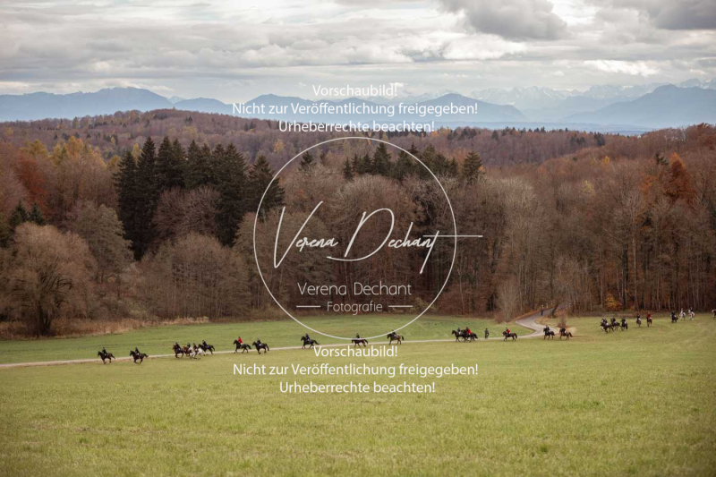 Schleppjagd_Diessen-870