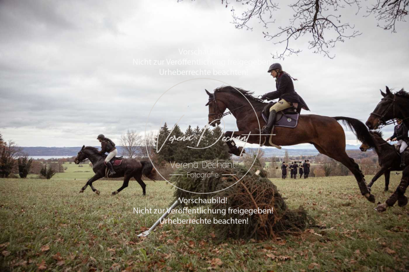 Schleppjagd_Diessen-880