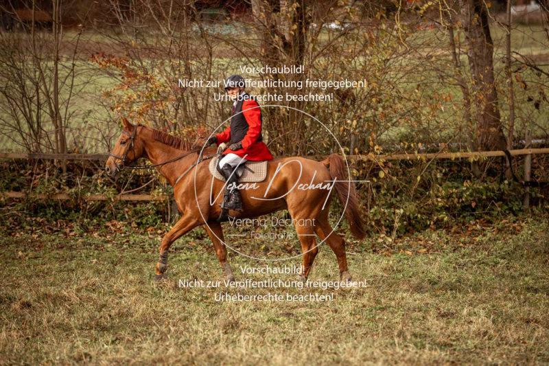 Schleppjagd_Diessen-883