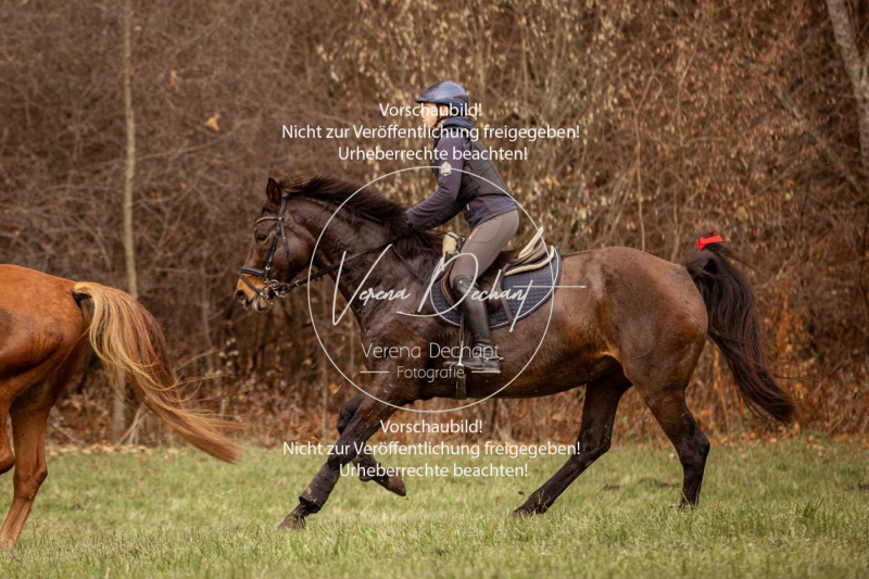 Schleppjagd_Diessen-888