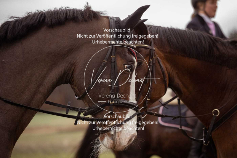 Schleppjagd_Diessen-901