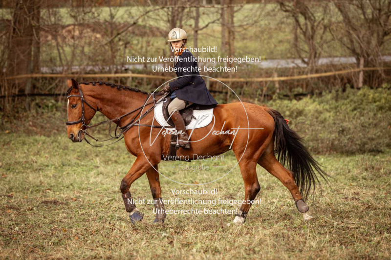 Schleppjagd_Diessen-909