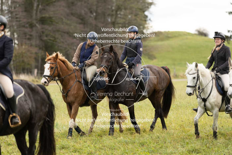 Schleppjagd_Diessen-930