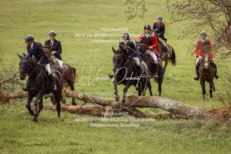 Schleppjagd_Diessen-958