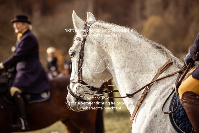 Schleppjagd_Diessen-979