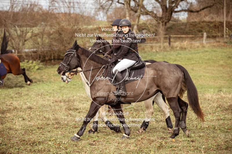 Schleppjagd_Diessen-981