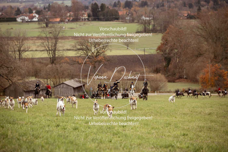 Schleppjagd_Diessen-988