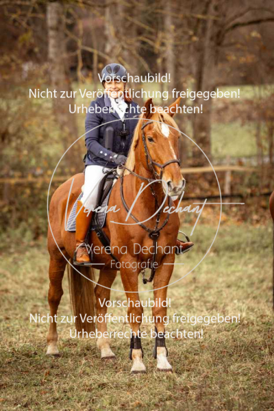 Schleppjagd_Diessen-991