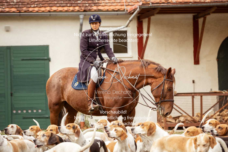 Schleppjagd_Gruenau-005