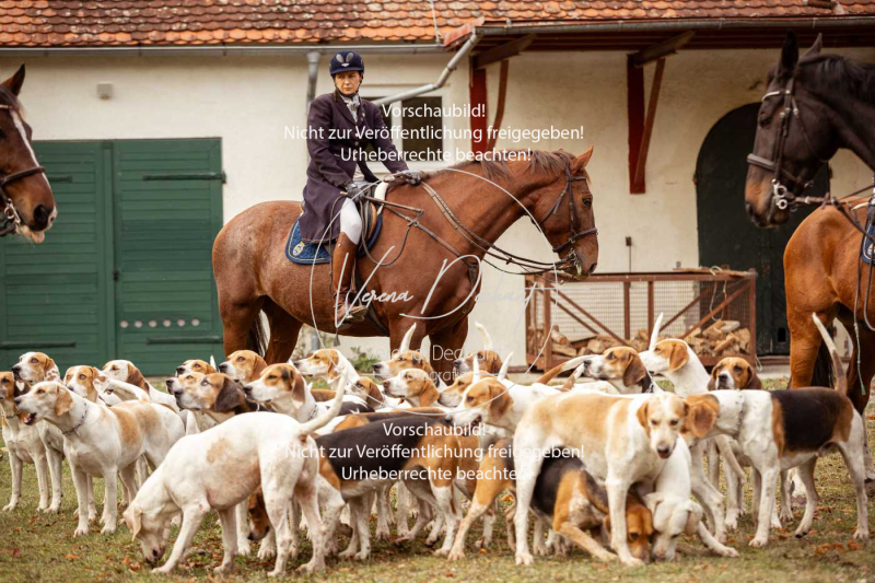 Schleppjagd_Gruenau-006