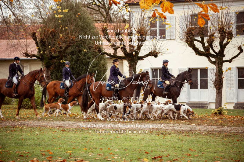 Schleppjagd_Gruenau-009